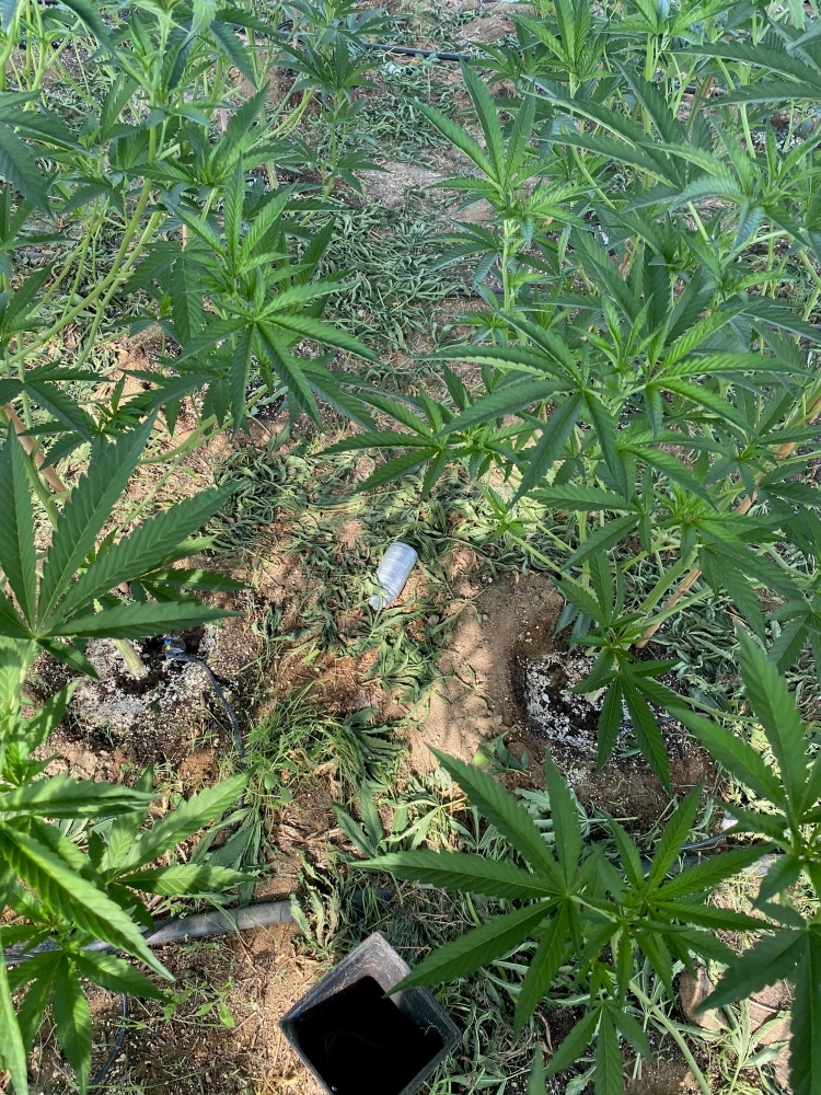 A fogger found at the unlicensed cannabis cultivation site in Lancaster